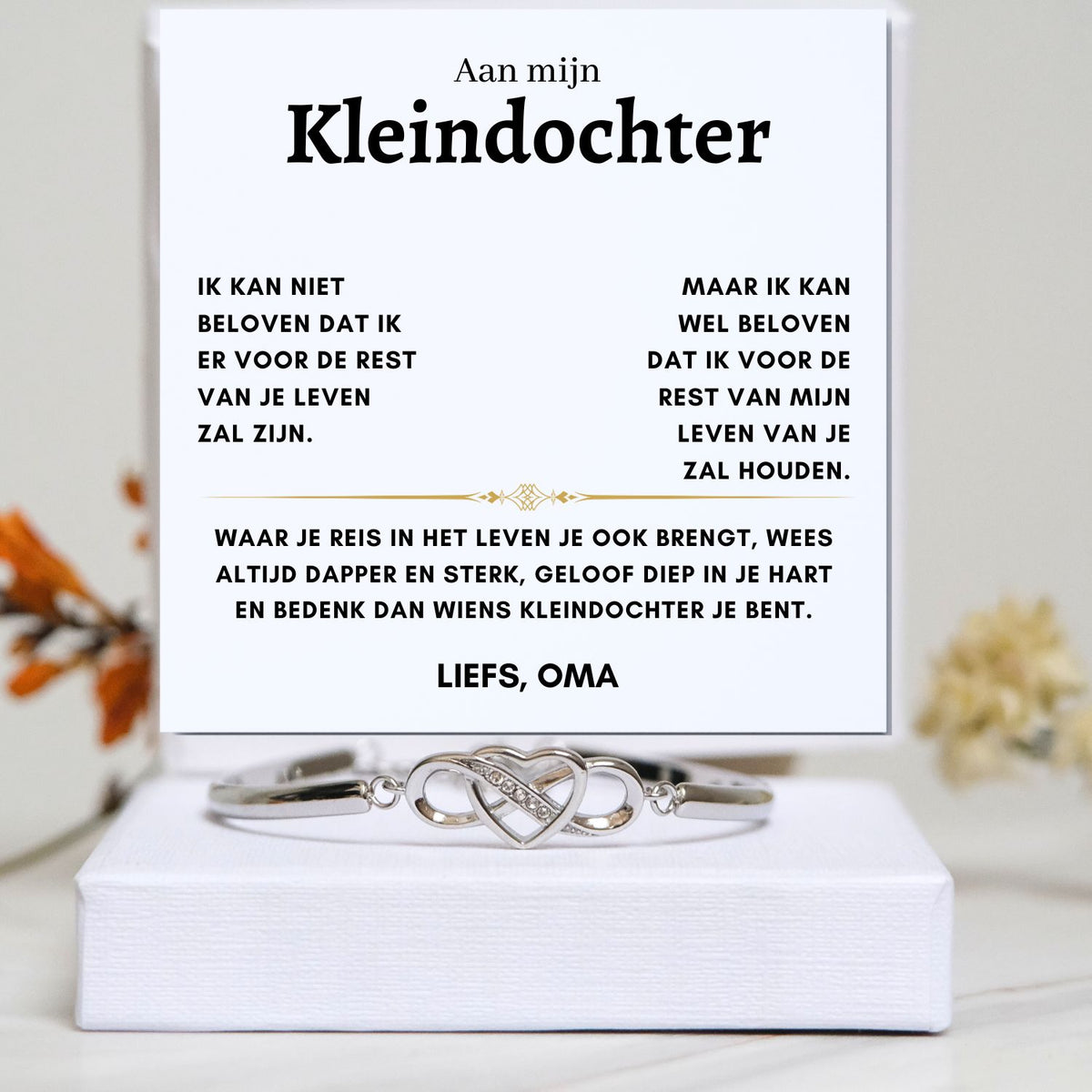 Infinity armband Aan mijn Kleindochter, Reis in het Leven