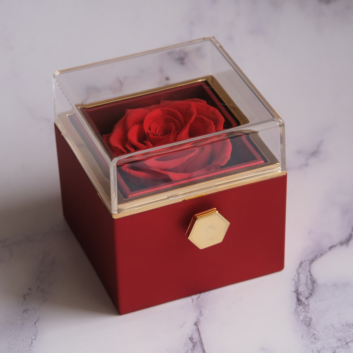Eeuwige Roos Box - Liefdesknoop Halsketting & Echte Roos