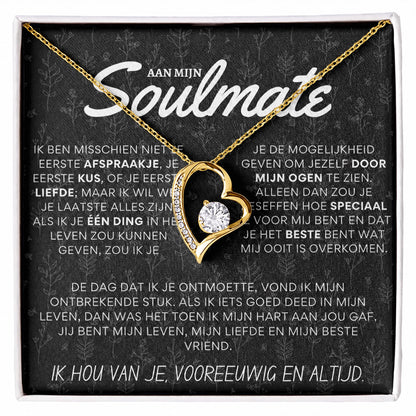 Aan mijn prachtige soulmate - Hart ketting