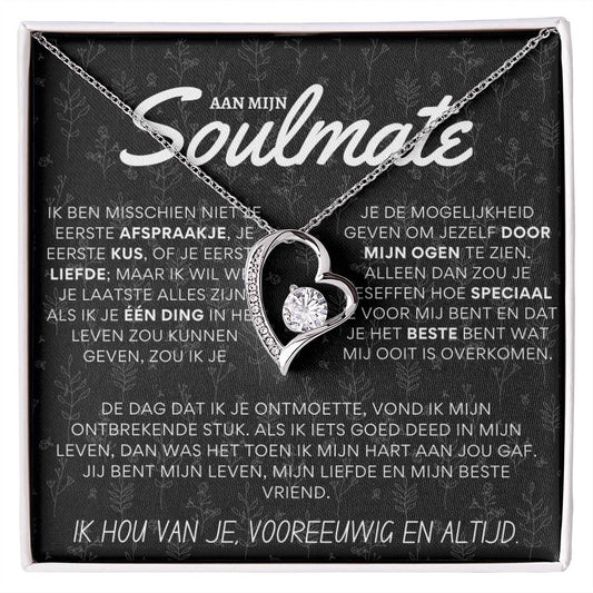Aan mijn prachtige soulmate - Hart ketting