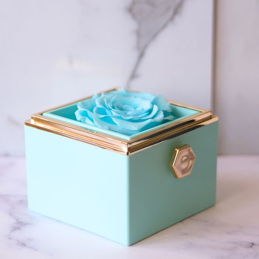 Eeuwige Roos Box - Liefdesknoop Halsketting & Echte Roos