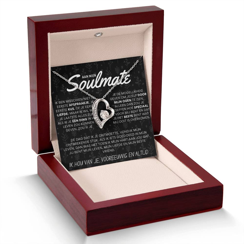 Aan mijn prachtige soulmate - Hart ketting