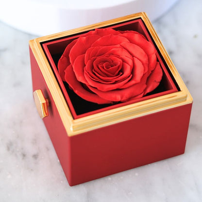 Eeuwige Roos Box - Knuffel ketting & Echte Roos