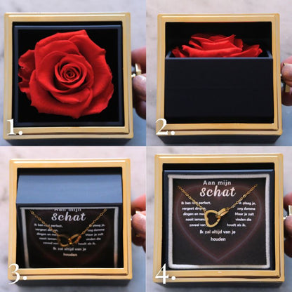 Eeuwige Roos Box - Gepersonaliseerde ketting & Echte Roos - Aan mijn schat