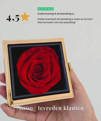 Eeuwige Roos Box - Knuffel ketting & Echte Roos
