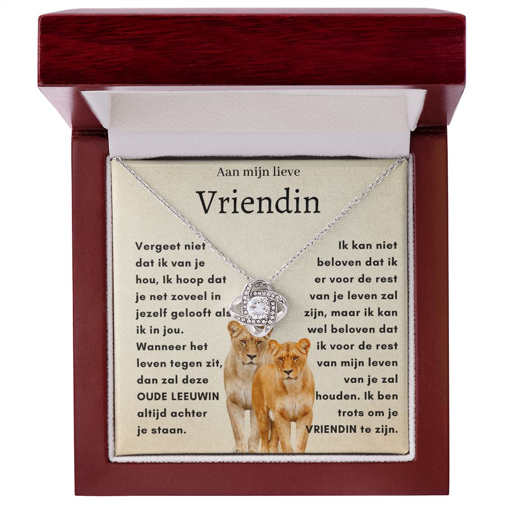 Voor mijn lieve vriendin - OUDE LEEUWIN - Liefdesknoop Halsketting